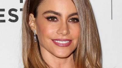 Nick Loeb demandó a Sofía Vergara por el destino de los embriones que congelaron cuando eran pareja.