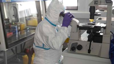 NEW YORK, NY - APRIL 10: Mirimus, Inc. lab scientists sort through COVID-19 samples from recovered patients on April 10, 2020 in the Brooklyn borough of New York City. Misha Friedman/Getty Images/AFP