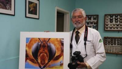 En su consultorio del barrio El Centro exhibe algunas de sus fotografías y parte de su colección de mariposas.