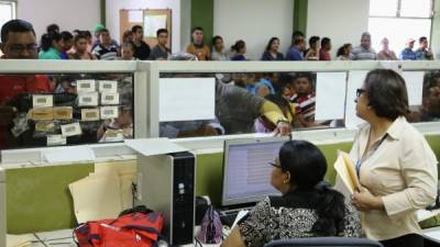 Personal de la DEI y contribuyentes en las oficinas de San Pedro Sula.