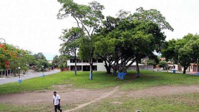 Las áreas verdes de San Pedro Sula serán reforestadas y decoradas en las próximas semanas.