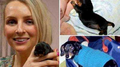 El cachorro que nació el 30 de marzo en Seúl, Corea del Sur, pesó unos 454 gramos.