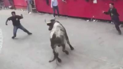 Foto captura de YouTube.