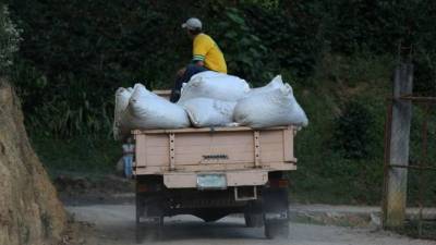 En carros pequeños se va el café a Guatemala.