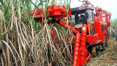 La máquina será presentada en una feria internacional la próxima semana.