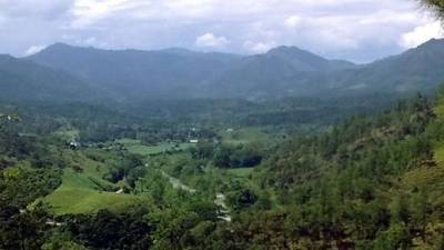 El hecho ocurrió en Esquipulas del Norte, Olancho.