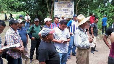 Desde el lunes pasado están en paro los trabajadore de nueve fincas bananeras en el norte de Honduras.