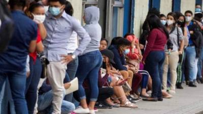 Secretaría de Trabajo describe que al menos 445,000 hondureños están desempleados y otros miles han sido suspendidos por la crisis económica.