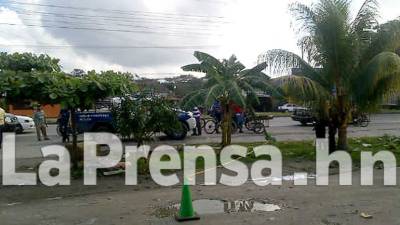 El Ministerio Público informó que el cadáver estaba en varias bolsas plásticas y un saco.