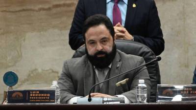 Luis Redondo, presidente del Congreso Nacional, durante una sesión legislativa.