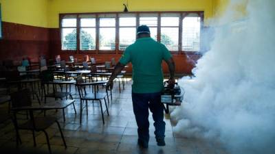 La cuadrilla de limpieza y fumigación interviniendo el Instituto Debe y Haber.
