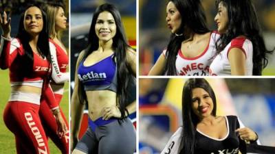Las hermosas chicas que adornaron el partido pendiente de la jornada 13 entre Real España y Platense en el estadio Morazán.