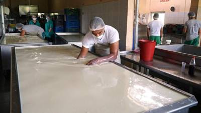 Gestionan exportar leche en polvo a Taiwán.