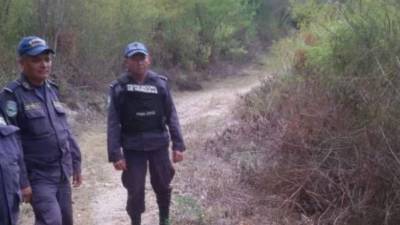 El cadáver semiquemado de una mujer fue hallado este viernes en la aldea La Trinidad, municipio de Sabanagrande, Francisco Morazán