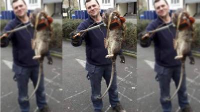 La rata gigante fue descubierta cerca de un parque donde juegan niños detrás de las vías del ferrocarril en el norte de Londres.