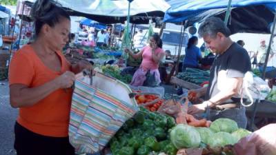 Actividad en la Feria del Agricultor de Paz Barahona.