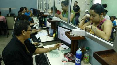 Desde febrero de este año inició el proceso de actualización en el Seguro Social.