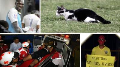 Un cumpleañero, un gato y un mensaje, esto y más en las imágenes que no se vieron por televisión de la sexta jornada del Torneo Clausura 2017 de la Liga Nacional.