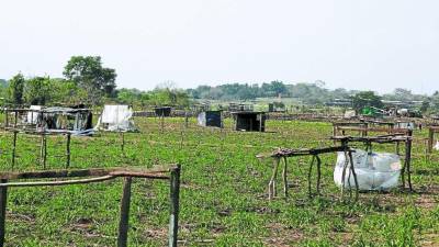 La mayoría de demandas tiene que ver con tierras en el Atlántico.