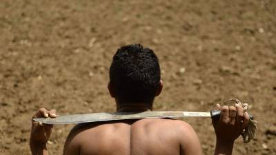 La situación para algunos agricultores es de lo más desesperada