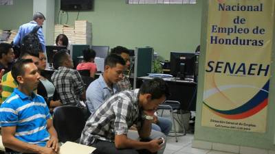 Los interesados en un trabajo a través del programa gubernamental deben acudir al Ministerio de Trabajo en San Pedro Sula.