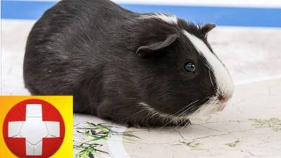 Suiza se enfrentará a Francia el 20 de junio.