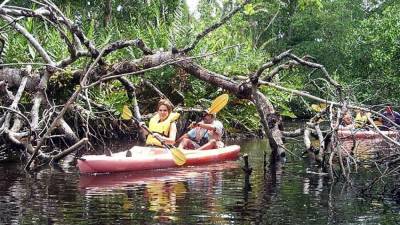 La belleza natural que ofrece Tela a sus visitantes es incomparable.