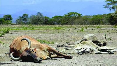 Los 10 temas de impacto en Honduras