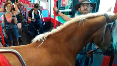 En los trenes austriacos sólo se permite transportar animales 'pequeños e inofensivos'.Foto.AFP