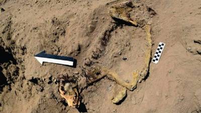 La cultura preinca Casma tiene una antigüedad de 900 a 1000 años después de Cristo.