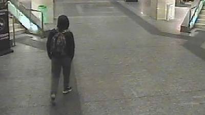 Anis Amri, el tunecino que embistió a una multitud en un mercado navideño de Berlín, fue abatido por la policía italiana.