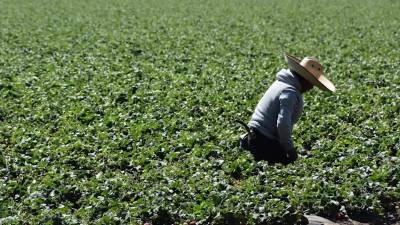 La madre y la hija mayor debían trabajar doce horas por día sin ningún día de descanso en los comercios de la pareja.