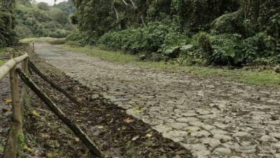 Monumento Nacional Guayabo, ubicado en Turrialba, al este de San José (Costa Rica). EFE