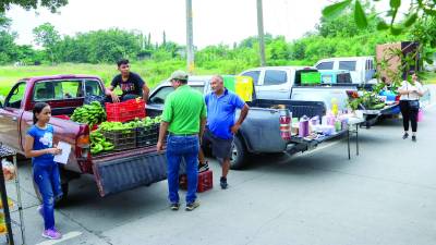 <b>Municipalidad dice que apoya al emprendedor.</b>