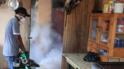 Los operativos de fumigación continúan en San Pedro Sula.