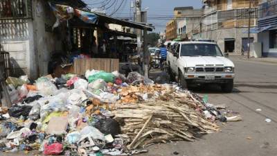 Así se acumula basura en los barrios Medina y Concepción.