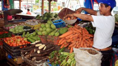 El estímulo de la producción nacional, principalmente en el campo y la agroindustria, ayudaría a mantener bajos niveles de inflación, aseguran economistas.