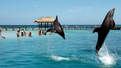 Roatán es una de las bellezas naturales de Honduras y que atrae turismo internacional.