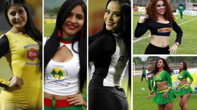 Estas son las bellezas que adornaron la jornada 18 y última del Torneo Apertura 2017-2018 de la Liga Nacional de Honduras.