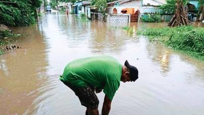 Lluvias vuelven a anegar los bajos de Chamelecón; cada vez que llueve, la historia se repite.