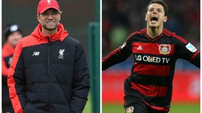 Jürgen Klopp habría pedido al Liverpool el fichaje del 'Chicharito' Hernández.