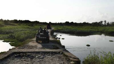 Las fronteras entre Honduras, El Salvador y Guatemala estarán resguardadas por la Fuerza Trinacional. Foto: Wendell Escoto