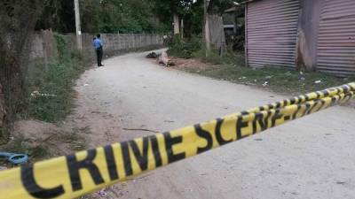 El cadáver fue encontrado dentro de bolsas plásticas para basura.