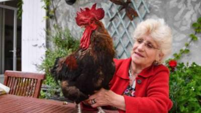 El gallo llamado Maurice junto a su dueña Conine Fesseau.