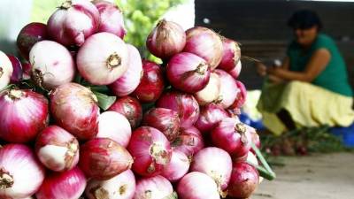 Honduras producirá 17,000 toneladas métricas de cebolla este año.