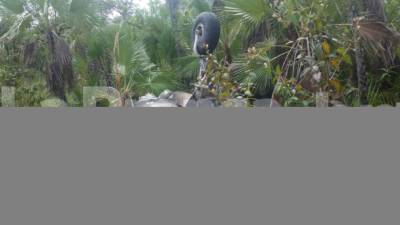 La narcoavioneta fue encontrada por miembros del Ejército en Gracias a Dios.