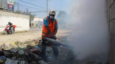 Personal de la alcaldía sampedrana ha realizado diversos operativos en colonias como la Felipe Zelaya.