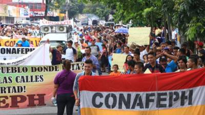 Las personas portaron carteles de protesta. Foto: Amilcar Izaguirre