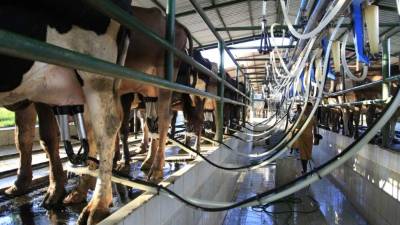 Imagen de la planta procesadora de leche.