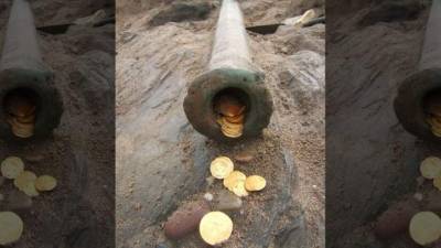 Las monedas de oro puro pertenecen a España.